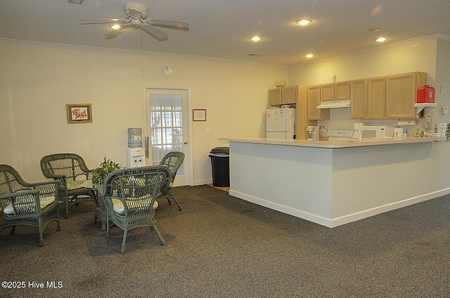 3853 Winding Vine Way, Southport, NC 28461 - kitchen with white appliances, under cabinet range hood, a ceiling fan, crown molding, and dark carpet