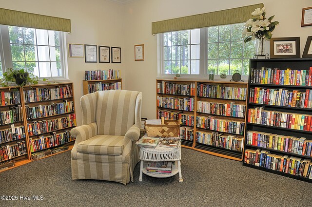3853 Winding Vine Way, Southport, NC 28461 - living area with bookshelves, carpet floors, and ornamental molding