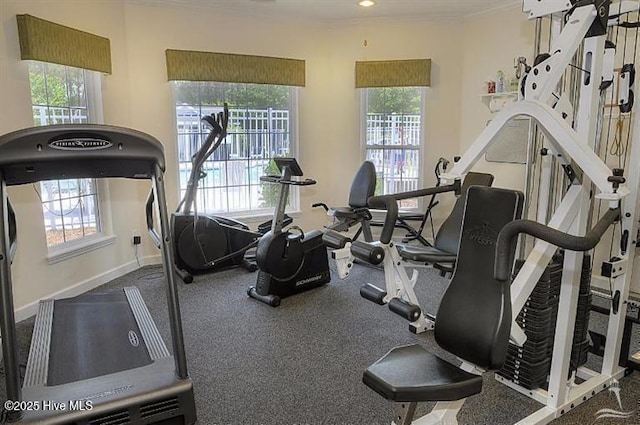 3853 Winding Vine Way, Southport, NC 28461 - exercise room with healthy amount of natural light and crown molding