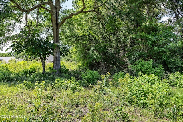 9208 Shady Forest Dr SW, Calabash, NC 28467