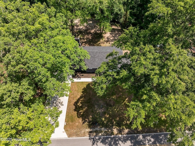1496 Kellum Loop Rd, Jacksonville, NC 28546 - view from above of property