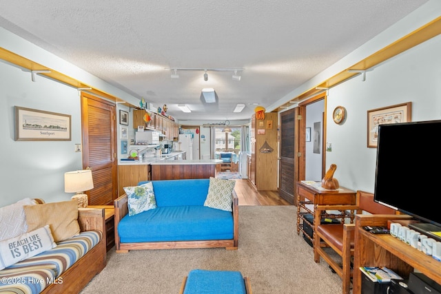 210 W Beach Dr, Oak Island, NC 28465 - living area featuring a textured ceiling, light colored carpet, and track lighting