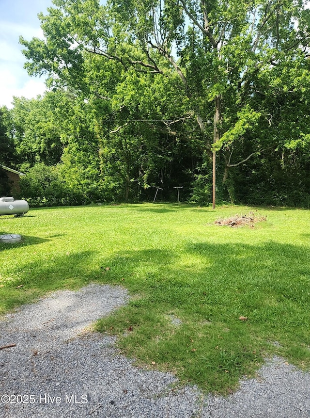 7757 Terra Ceia Rd, Pantego, NC 27860 - view of green lawn