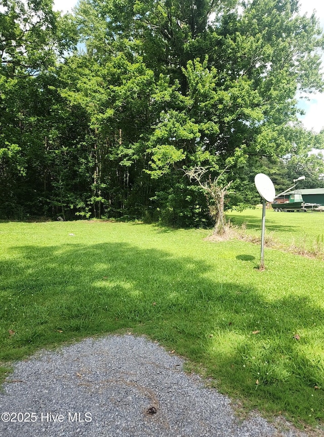 7757 Terra Ceia Rd, Pantego, NC 27860 - view of green lawn