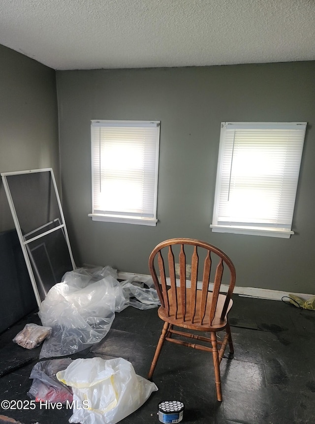 7757 Terra Ceia Rd, Pantego, NC 27860 - bedroom featuring multiple windows and a textured ceiling