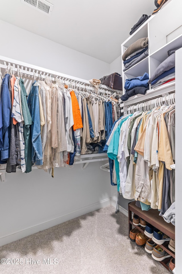 8116 Barstow Ln, Wilmington, NC 28411 - spacious closet featuring carpet