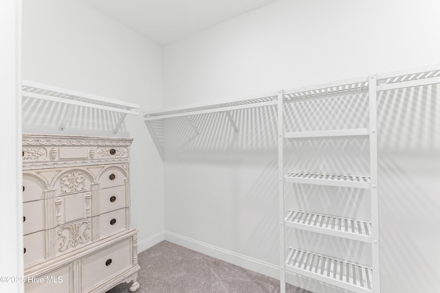 8116 Barstow Ln, Wilmington, NC 28411 - spacious closet with carpet