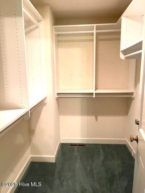 105 Ridgewood Rd, Pinehurst, NC 28374 - spacious closet featuring carpet