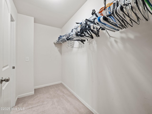 301 Stella Bridgeway Dr, Stella, NC 28582 - spacious closet featuring light carpet