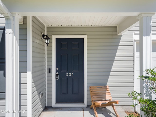301 Stella Bridgeway Dr, Stella, NC 28582 - property entrance featuring a porch