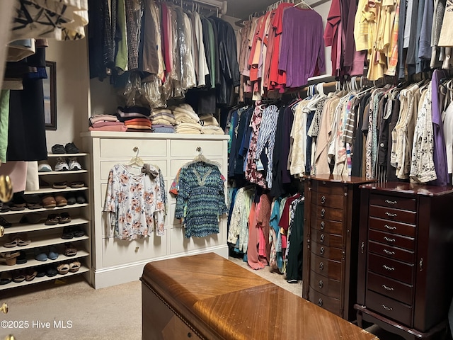 1910 Big Mill Rd, Williamston, NC 27892 - walk in closet featuring carpet flooring