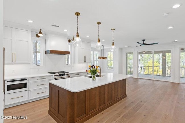 3404 Eagle Crest Dr SW, Supply, NC 28462 - kitchen with custom range hood, a ceiling fan, high end stainless steel range oven, light countertops, and plenty of natural light