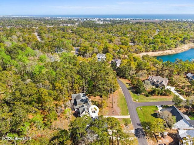 3404 Eagle Crest Dr SW, Supply, NC 28462 - aerial view of a large body of water and a forest