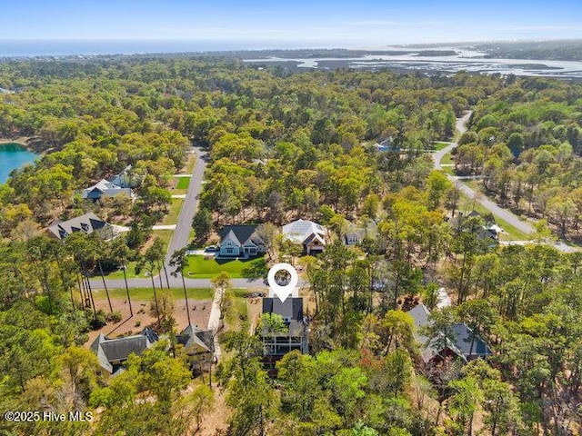 3404 Eagle Crest Dr SW, Supply, NC 28462 - aerial view of a forest and a large body of water