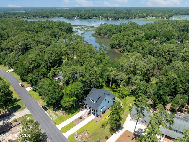 3404 Eagle Crest Dr SW, Supply, NC 28462 - drone / aerial view of a forest and a large body of water