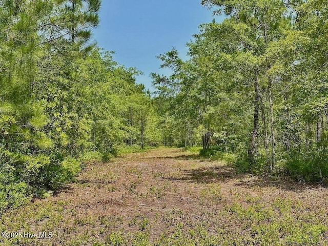 00 NC-306, Grantsboro, NC 28529