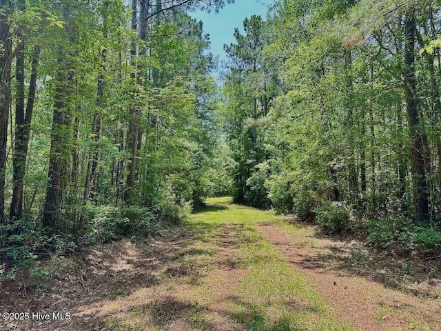 00 NC-306, Grantsboro, NC 28529
