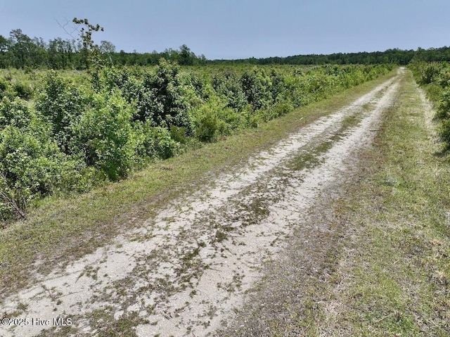00 NC-306, Grantsboro, NC 28529