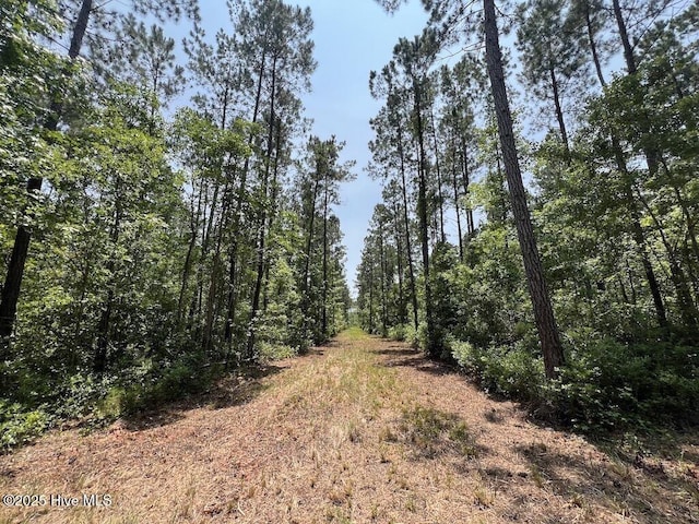 00 NC-306, Grantsboro, NC 28529