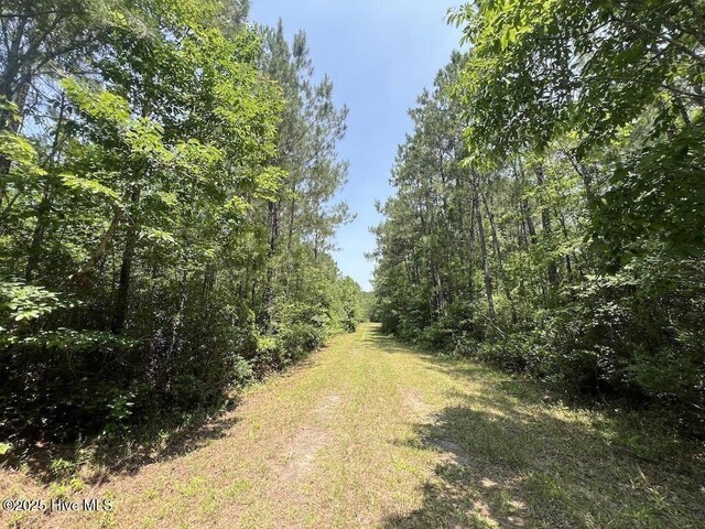 00 NC-306, Grantsboro, NC 28529