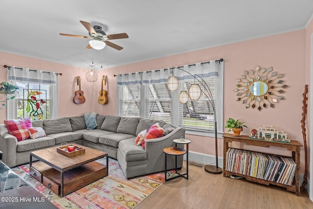 2018 Perry Ave, Wilmington, NC 28403 - living room featuring ornamental molding, ceiling fan, and wood finished floors