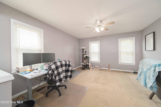 113 Lakehurst Dr, Dudley, NC 28333 - office space with a ceiling fan and carpet