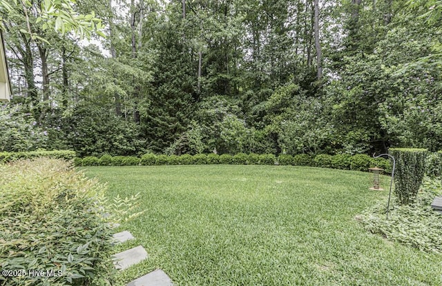 129 Steeplechase Rd, Rocky Mount, NC 27804 - view of green lawn