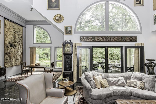 129 Steeplechase Rd, Rocky Mount, NC 27804 - living area with a towering ceiling
