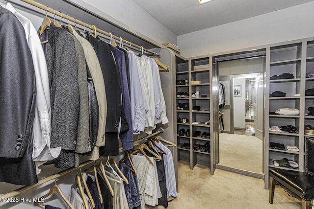 129 Steeplechase Rd, Rocky Mount, NC 27804 - spacious closet with carpet floors