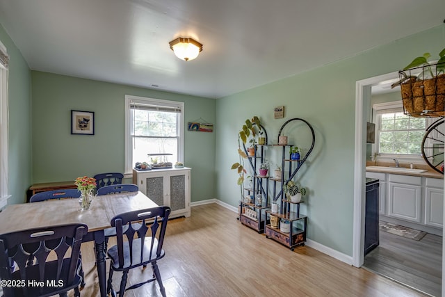 766 Swan Point Rd, Washington, NC 27889 - dining room with light wood-type flooring and plenty of natural light