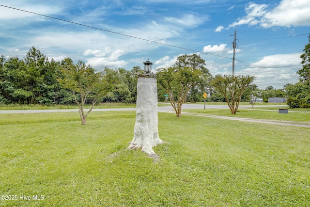 766 Swan Point Rd, Washington, NC 27889 - surrounding community featuring a yard