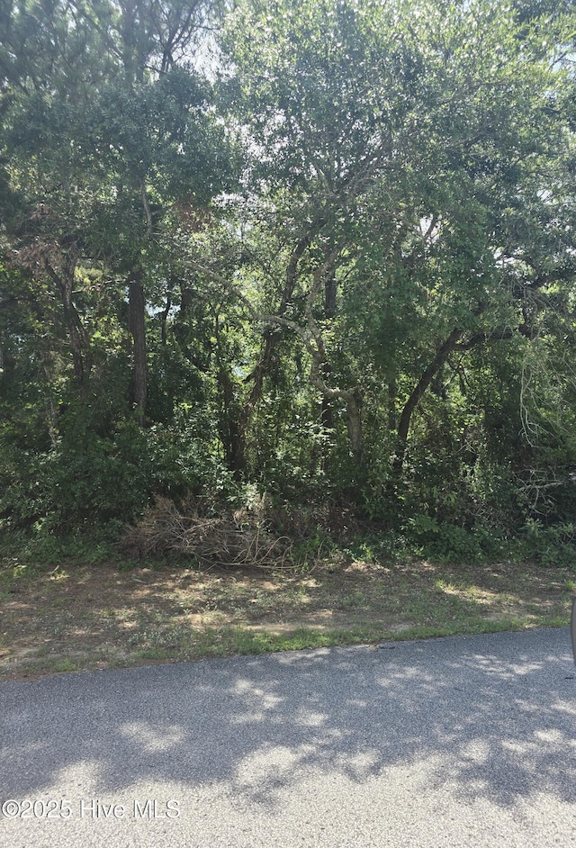 LOT73 NE 31st St Unit 73, Oak Island, NC 28465
