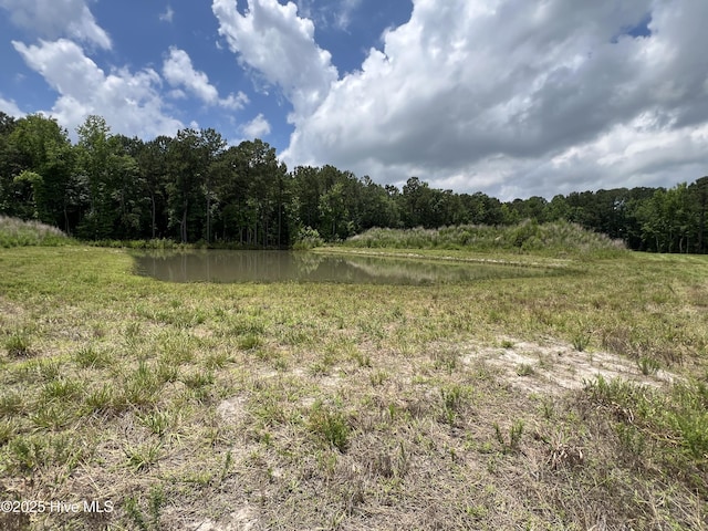 3330 Mccaskey Rd, Williamston, NC 27892