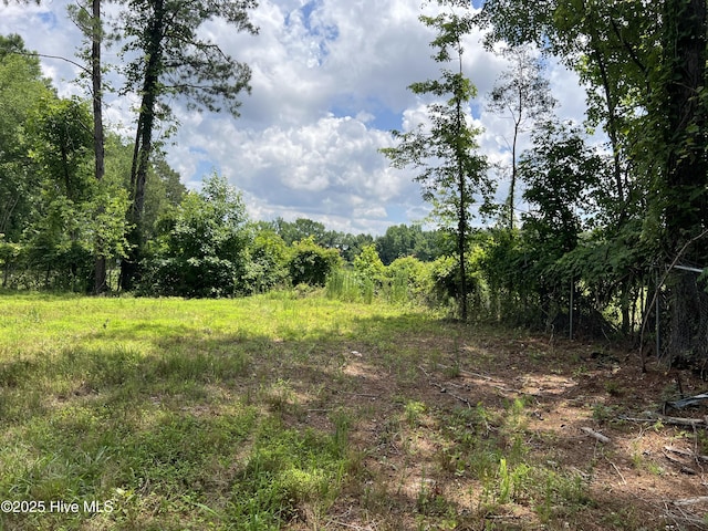 3330 Mccaskey Rd, Williamston, NC 27892
