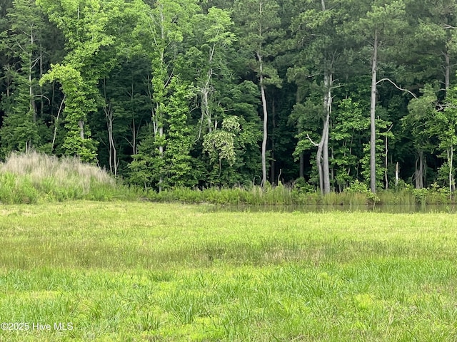 3330 Mccaskey Rd, Williamston, NC 27892