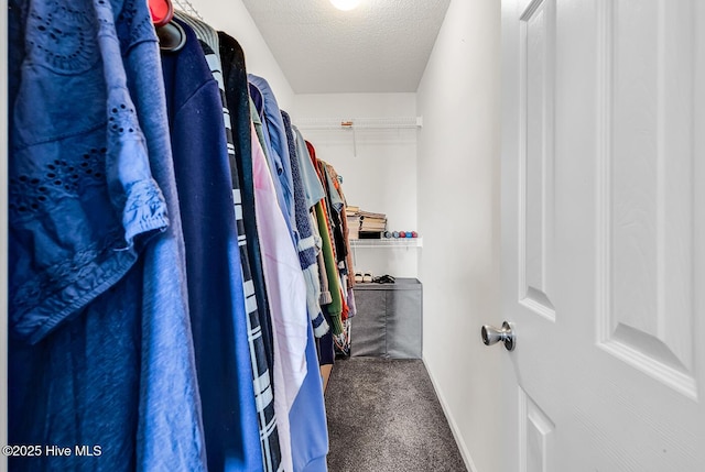 2129 Cass Lake Dr, Calabash, NC 28467 - walk in closet with carpet