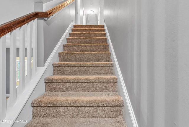 403 Grey Squirrel Ct, Jacksonville, NC 28540 - view of stairway