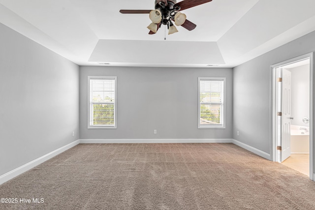403 Grey Squirrel Ct, Jacksonville, NC 28540 - unfurnished room with a raised ceiling, light carpet, and plenty of natural light
