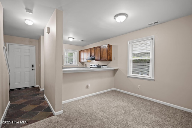 136 Lullwater Dr Unit B, Wilmington, NC 28403 - kitchen with light countertops, ventilation hood, dark carpet, and stainless steel stove