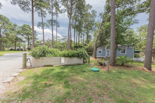 211 Fannie Creek Ln, Sneads Ferry, NC 28460 - view of grassy yard with an outbuilding
