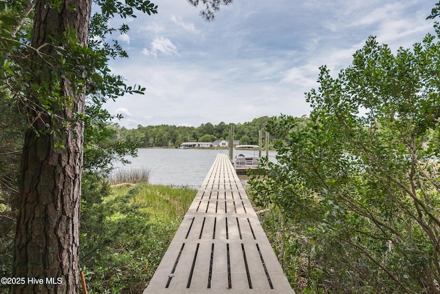211 Fannie Creek Ln, Sneads Ferry, NC 28460 - dock area with a water view and a forest view