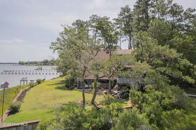 211 Fannie Creek Ln, Sneads Ferry, NC 28460 - view of grassy yard with a water view