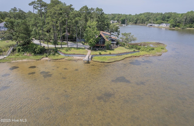 211 Fannie Creek Ln, Sneads Ferry, NC 28460 - water view featuring a forest