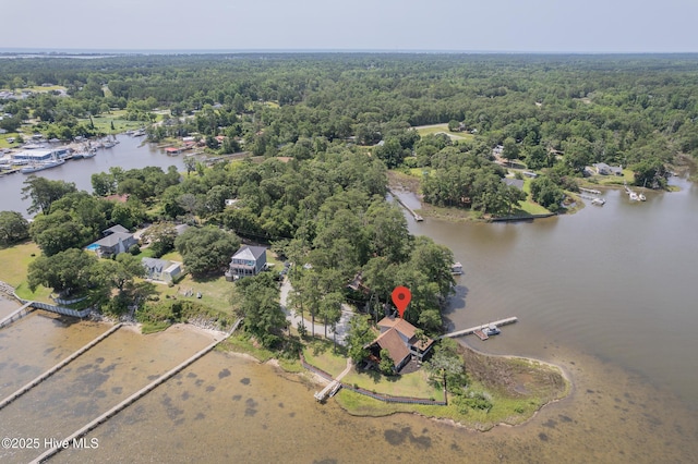211 Fannie Creek Ln, Sneads Ferry, NC 28460 - view of property location with a large body of water and a heavily wooded area