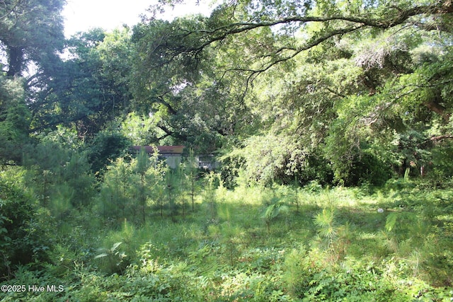238 Loder Ave Unit 1, Wilmington, NC 28409