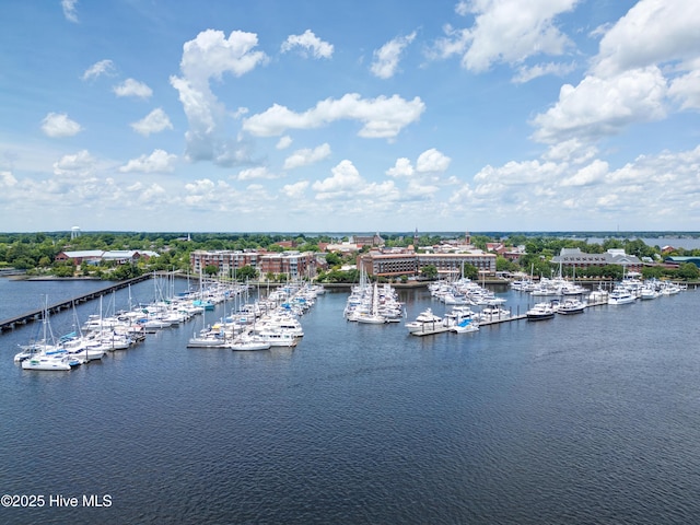 203 Sky Sail Blvd, New Bern, NC 28560 - bird's eye view of a marina and a nearby body of water