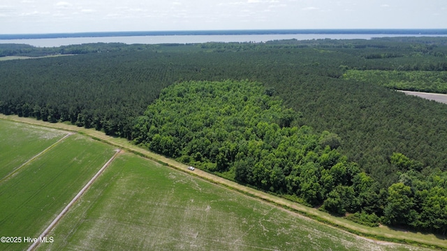 Off Sr 1337, Washington, NC 27889