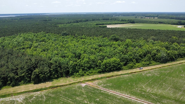 Off Sr 1337, Washington, NC 27889