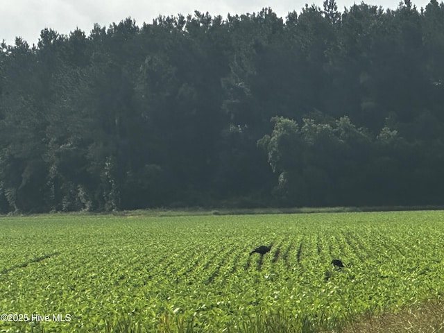 Off Sr 1337, Washington, NC 27889