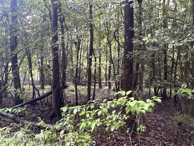 Off Sr 1337, Washington, NC 27889